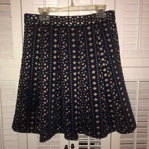 Blue Rain Skirt